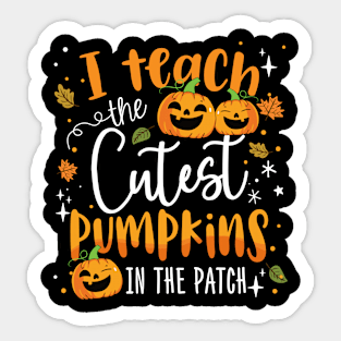 Halloween Teacher Shirt I Teach The Cutest Pumpkins In Patch Sticker